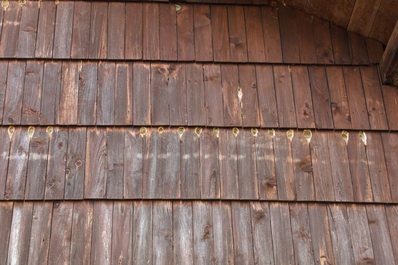 Treated Wood Siding Repair